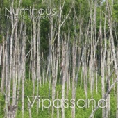 Numinous - No. 3. Into all the Valleys Evening Journeys