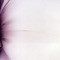 Real Quiet - Sonna lyrics
