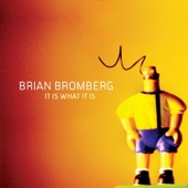 Brian Bromberg - Elephants On Ice Skates