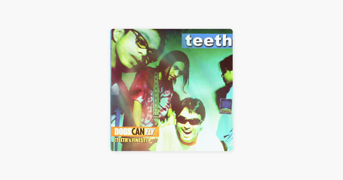 Перевод песни teeth