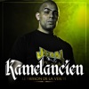 Kamelancien - Coup de coeur