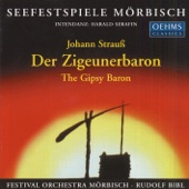 Strauss Ii: Zigeunerbaron (Der) (Excerpts) artwork