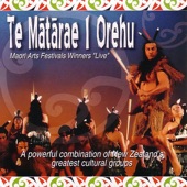 Maori Arts Festivals Winners "Live" artwork