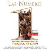 Las Numero 1 del Mariachi Vargas de Tecalitlan artwork