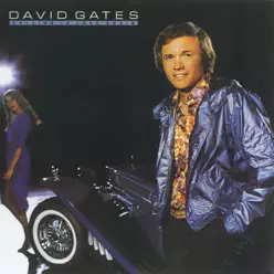 Falling In Love Again - David Gates