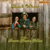 Buck White & the Down Home Folks - Broken Dreams