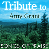 Tribute to Amy Grant: Songs of Praise - The Faith Crew