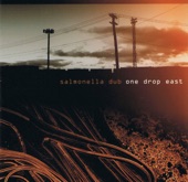 Salmonella Dub - Slide
