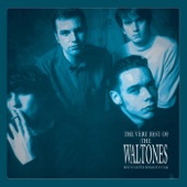 The Waltones - Spell It Out
