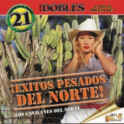 Los Gavilanes del Norte - Una Palomita