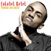 Colonel Reyel - Toutes les nuits