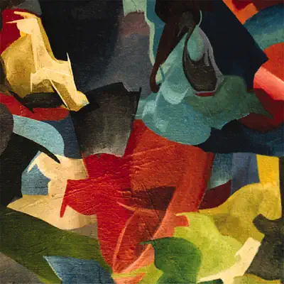 Black Foliage: Animation Music (Remastered) - The Olivia Tremor Control