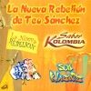 La Nueva Rebelión de Teo Sánchez