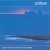 Stillhet 1 (Stillness 1)