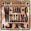 The Songs of Hank Williams Jr. (A Bocephus Celebration), 2002