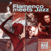 Flamenco meets Jazz - Thomas Hickstein & NDR Big Band