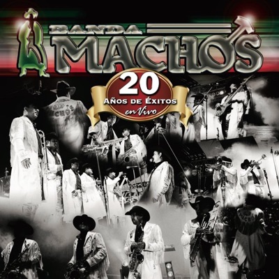 20 Años de Exitos en Vivo - Banda Machos
