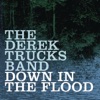 Down In the Flood - Single, 2008