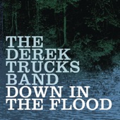 The Derek Trucks Band - Down In The Flood (Album Version)