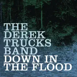 Down In the Flood - Single - Derek Trucks Band
