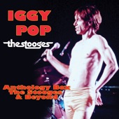 Iggy & The Stooges - No Fun (Live)