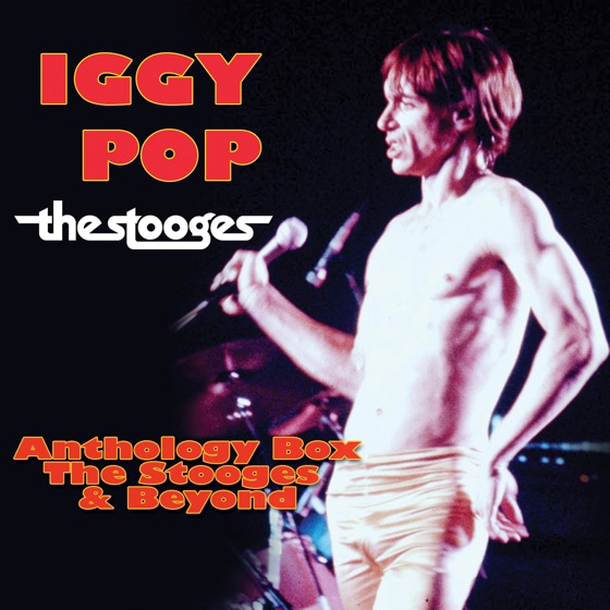 Cover artwork for Raw Power