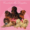 COMEBACK MY DAUGHTERS - Get Back