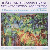 Heitor Villa-Lobos: A Floresta do Amazonas artwork