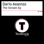 The Stream (Dario Assenzo Big Room Mix) artwork