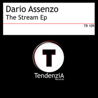 Dario Assenzo - The Stream (Dario Assenzo Big Room Mix) artwork