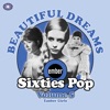 Beautiful Dreams: Ember Sixties Pop Vol. 5 - Ember Girls