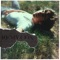 The Sun Room - Remy Cox lyrics