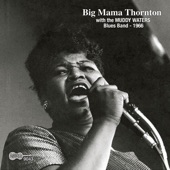 Big Mama's Shuffle artwork