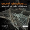 Sound Structure, Vol. 1 (House Electronic Selected By Giulio Abbattista), 2011