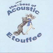 Acoustic Etouffee - Dixie Bloom