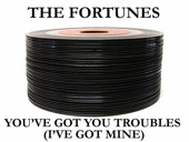 You've Got Your Troubles (I've Got Mine) - Single