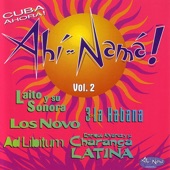 Various Artists - Largo De Guajira