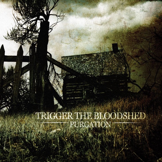 Cover artwork for A Perfect Casket