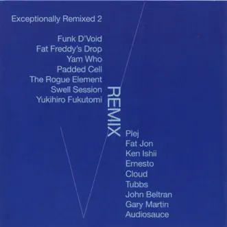 Exceptionally Remixed, Vol. 2 by Various Artists album reviews, ratings, credits