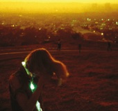 Neon Indian - Halogen (I Could Be a Shadow)