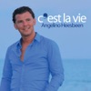 C'est La Vie - Single, 2011