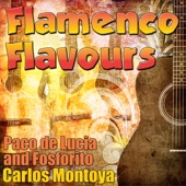 Flamenco Flavours artwork