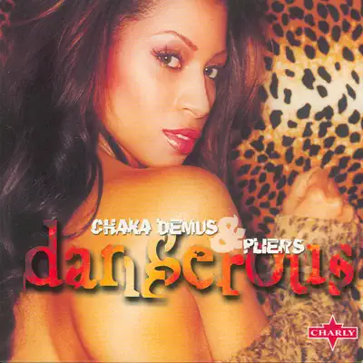 Dangerous - Chaka Demus & Pliers