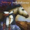 Riding Alone - Johnny Whitehorse lyrics