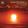 Sunrise At Sas Salinas (Ibiza) [Selected & Mixed By Babak Shayan], 2008