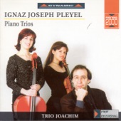 Piano Trio In E Minor, Op. 16, No. 5, B. 435: II. Andantino artwork