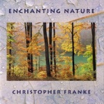 Gate of the Shimmering Cave