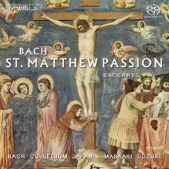 St. Matthew Passion, BWV 244: 36A. Recitative: Und Der Hohepriester Antwortet / B. Er Ist Des Todes Schuldig! / C. Recitative: Da Speieten Sie Aus / D. Weissage Uns Song Lyrics