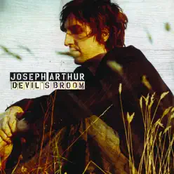 Devil's Broom - Single - Joseph Arthur