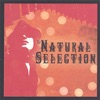 The Natural Selection, 2006